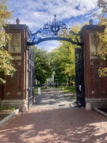 The Strange Thing about Harvard